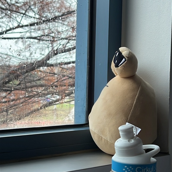 Meet your Posher, Hudson - Picture 1 of 1